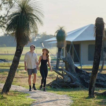 Willow Wood Glamping Retreat Broadwater 외부 사진