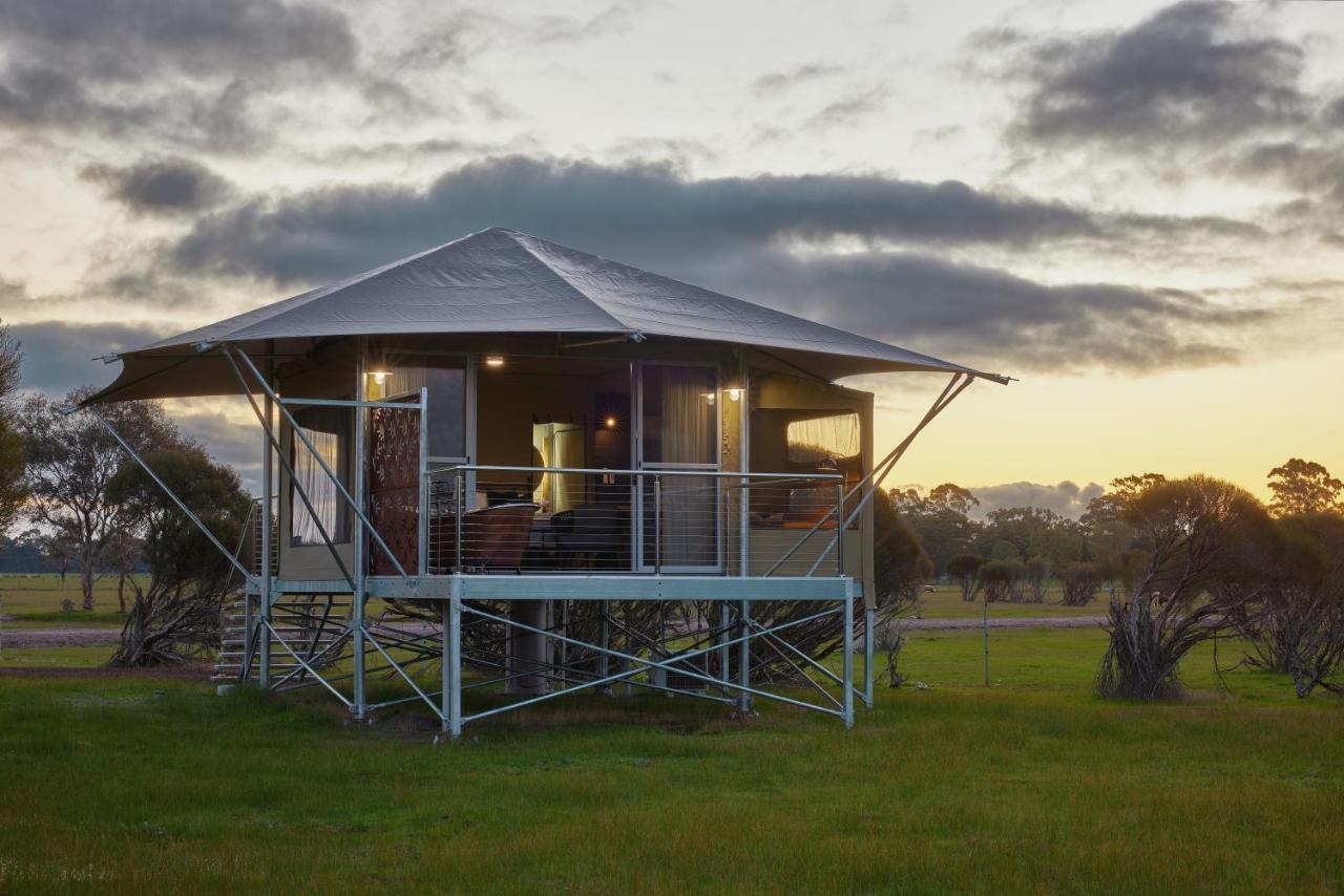 Willow Wood Glamping Retreat Broadwater 외부 사진